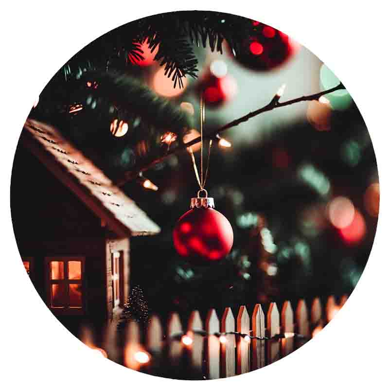 German American Logo